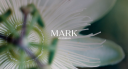 Marklosangeles