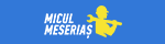 Micul Meserias RO