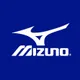 Mizunousa