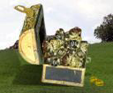 MooGold