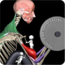 Muscle and Motion