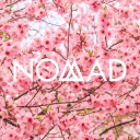 Nomad Notebooks
