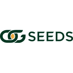 OG Seeds
