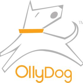 OllyDog