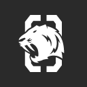 OneTigris