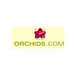 Orchids.com