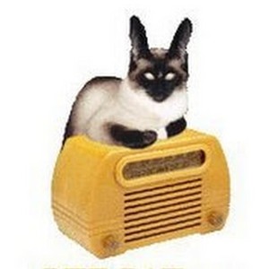 OTRCat