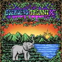 overseasorganix