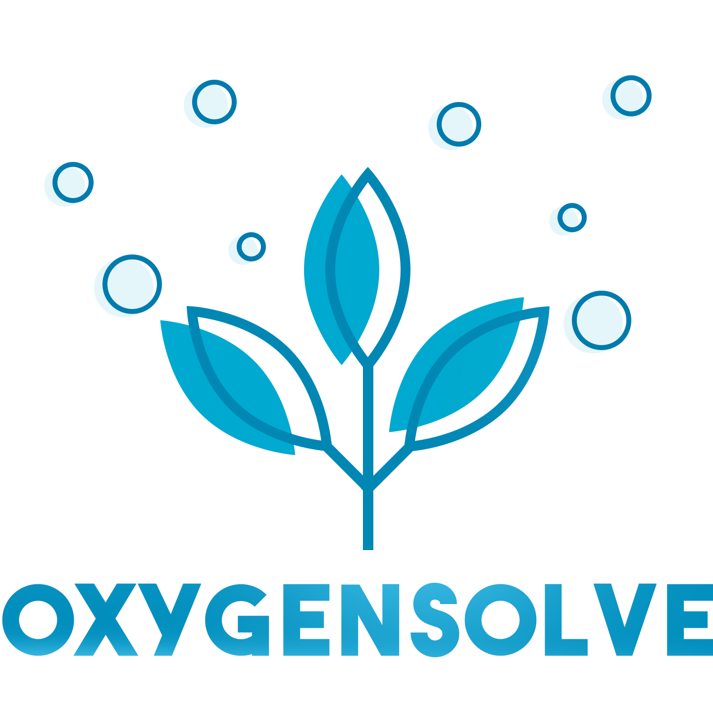 Oxygensolve.com