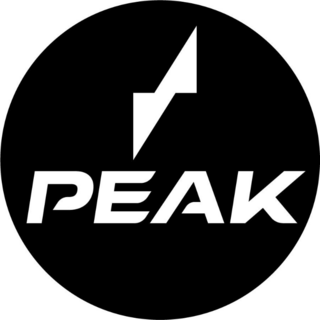 Peak Skis