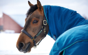 Performancehorseblankets
