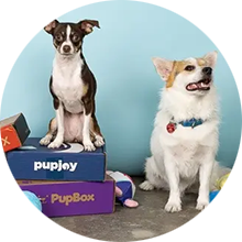 Pets & Home