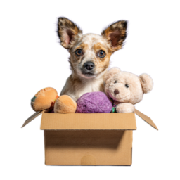 Pets & Home