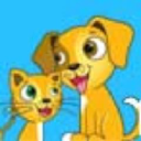 Petkin