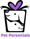 Petperennials