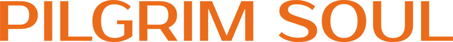 Pilgrim Soul Creative Journal