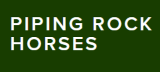 Piping Rock Horses