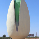 PistachioLand