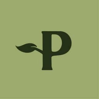 Planted Pot