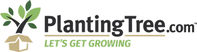 Planting Tree
