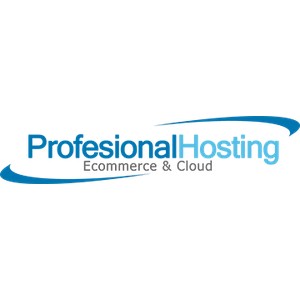 Profesional Hosting