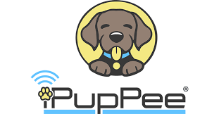 Ipuppee