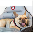 PupSaver