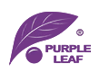 Purple Leaf