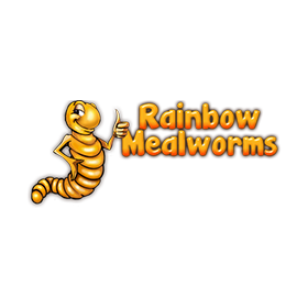 rainbowmealworms