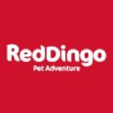Reddingo