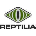 Reptilia