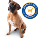 Servicedogcertifications