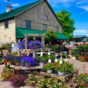 Shadybrookfarm