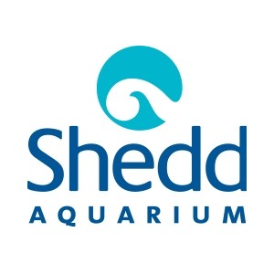 Shedd Aquarium