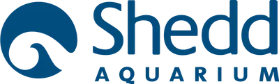 Shedd Aquarium