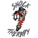Shock Therapy