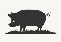 Singingpastures