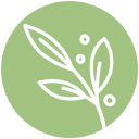 SmartArtBox