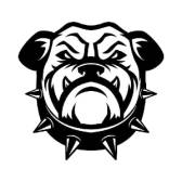 Spike Dog Collars