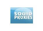 Squid Proxies