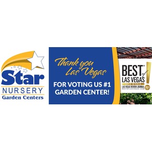 starnursery