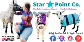Starpointhorsemanship