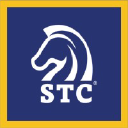 stcusa