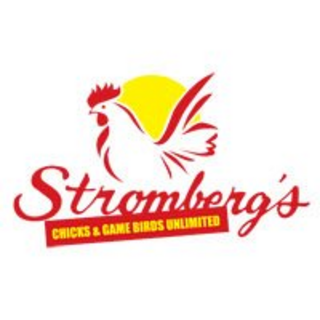 Stromberg's Chicks and Game Birds