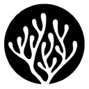 Sunnyside Corals