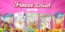 sweetytreatyco