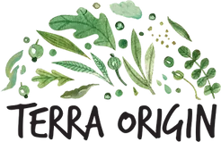 Terra Origin