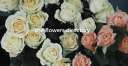 Theflowersdirectory