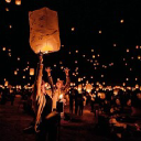 Thelightsfest