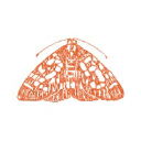 The Moth